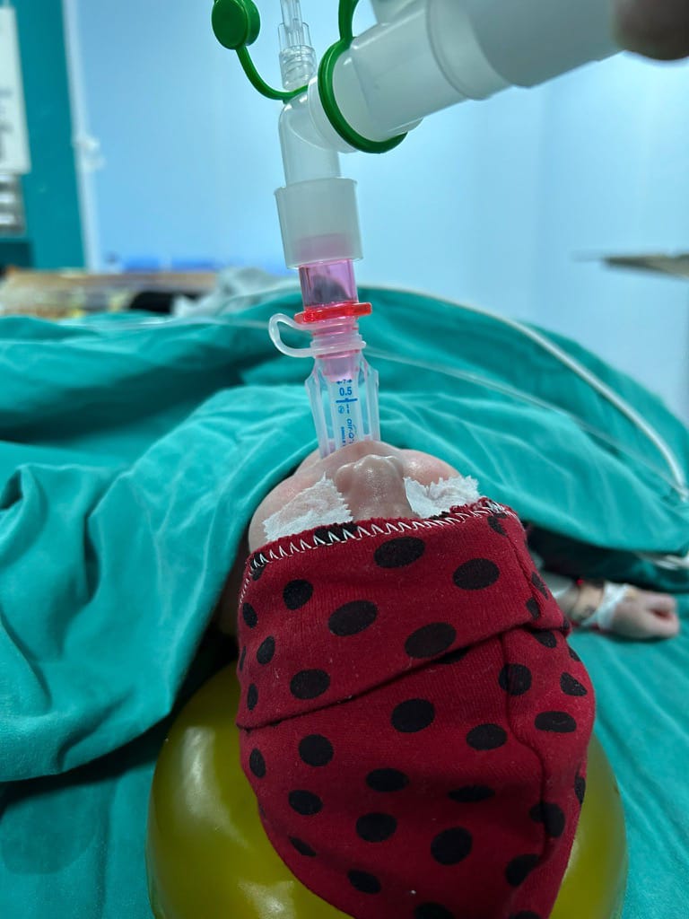 WhatsApp Image 2025 04 10 at 21.14.45